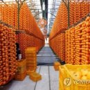 양촌연합의원 매일경제