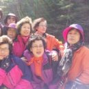 천지댁갑산댁영농조합법인 이미지