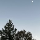 통뼈감자탕교하점 | 2023년 11월의 기록