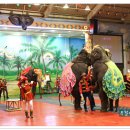 점보빌리지 이미지