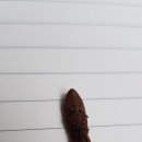 해법 행정사사무소 이미지