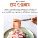 양지상회 티스토리
