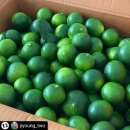 준이네농장 이미지