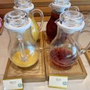 씨카페(c’cafe) | 제주 롯데씨티호텔 조식당 씨카페(C Cafe) 이용 후기