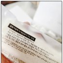 배초구두부술떡 | 명절 선물용 떡 추천 전국택배 되는 전통 발효 술떡광양본가기정떡 솔직후기