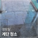 영토탈 이미지