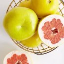 pomelo 이미지
