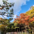 인천대공원 내 | 인천단풍명소 | 인천대공원 방문 후기 🍁11월 단풍상황 및 포토스팟 추천