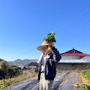 학이유치원 이미지