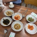 가창큰나무집 약령시점 | [대구맛집] 가창큰나무집, 영계백숙먹고 닭죽으로 마무리~