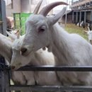 훈이목장 이미지