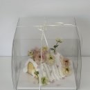 광양백운고등학교 | 광양 중마동 레터링케이크 보들랑 케이크