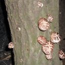 지원농장 이미지