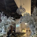 루미에르홀뷔페 이미지