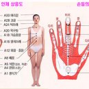 고려수지침 서금요법 이미지