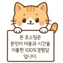 교대역 12번출구 앞 교통섬 | 베네치아 교통권 바포레토교통권 구매 방법 현장 꿀팁