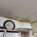 중앙동-3 | 양산 중앙동 수도관 누수 탐지해서 확실히 잡았습니다