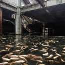 뉴월드수산 이미지