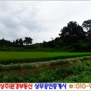 낙동면 상촌리 이미지