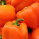 미용하는 남자 이미지