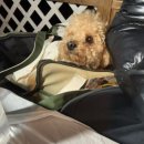 비나리펜션 | [복골온천] 케빈커플비나리 객실 | 내부모습 | 프라이빗실외온천 | 양양복골온천 | 애견동반온천