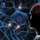 바디리셋 이미지