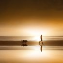 솔푸른향기애견 이미지