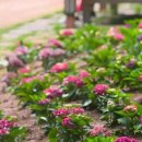 사천시 특별교통수단 이미지