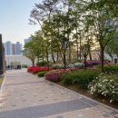 상신초등학교 정문 이미지