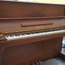 에덴피아노 이미지