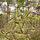 명주골목 이미지