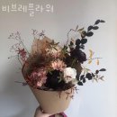 비브레