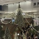 「주간일기 드디어 끝! 11월 일상」
