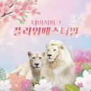 대구애견파크농장 | 대구 네이처파크 플라워 페스티벌 방문 후기
