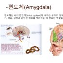 수험생을 위한 마음챙김 명상 이미지