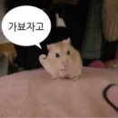 가평여행 이미지