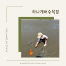 포내공중화장실 | 인천 영종도 취사가능 하나개해수욕장, 조개 체험 가능, 주차