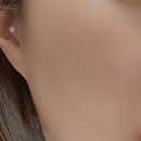 예그리나 약국 | 올리브영 재생크림 추천템 더하르나이 시카밤