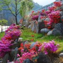 동강백운산 민박 이미지