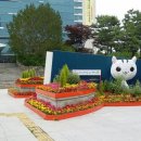 동구청 앞 이미지