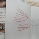 글재미논술