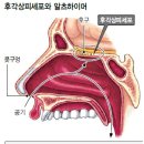 조기박사 이미지