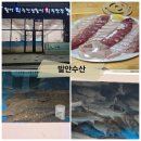 발안수산 이미지