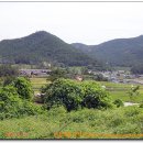 큰골농장 이미지