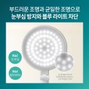 에코반점