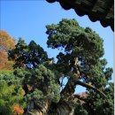 만고강산 - 광산구 | 만고강산