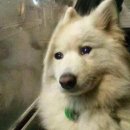 멘토영어학원 | [대외활동 1] EBS 화상튜터링 영어 멘토 활동 후기 | 2024-2학기, 겨울방학