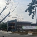 송산로데오공인중개사사무소 이미지