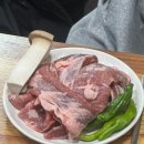 가야갈매기