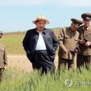 한티농장 이미지